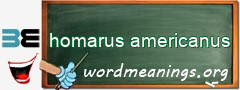 WordMeaning blackboard for homarus americanus